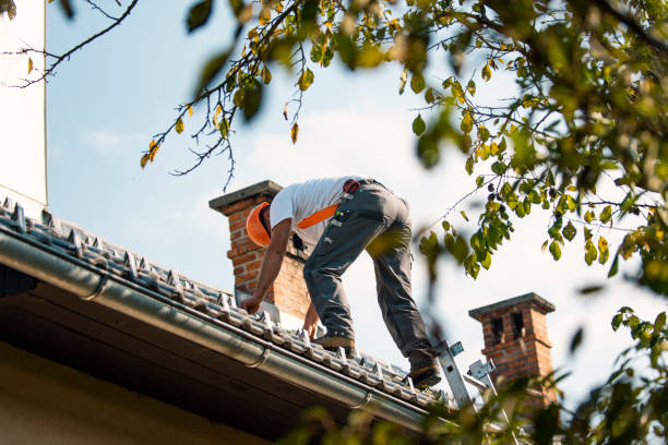 Roof Gutter Cleaning in Hamlin, WV