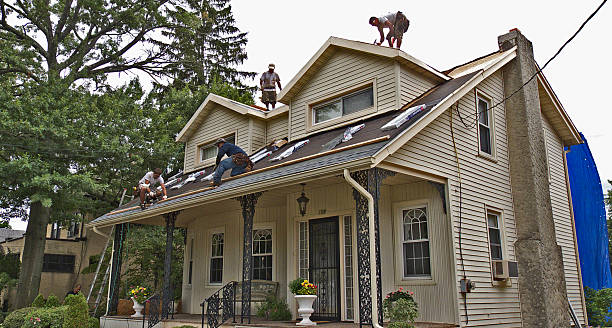 Best Local Roofing Companies  in Hamlin, WV